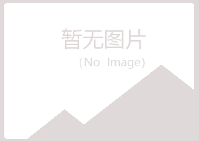 鹤岗兴山问雁采矿有限公司